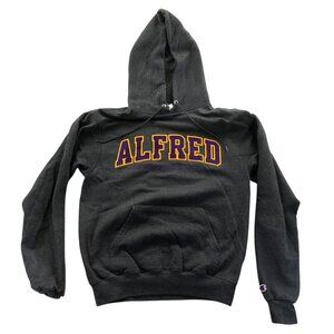 Champion Mens Alfred University Hoodie Sweatshirt Small Gray Embroidered Casual